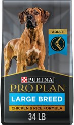 Purina Pro Plan Adult Large Breed Chicken & Rice Formula Dry Food, 34-lb bag + Focus Chicken & Rice Entree Chunks in Gravy Canned Dog Food slide 2 of 9