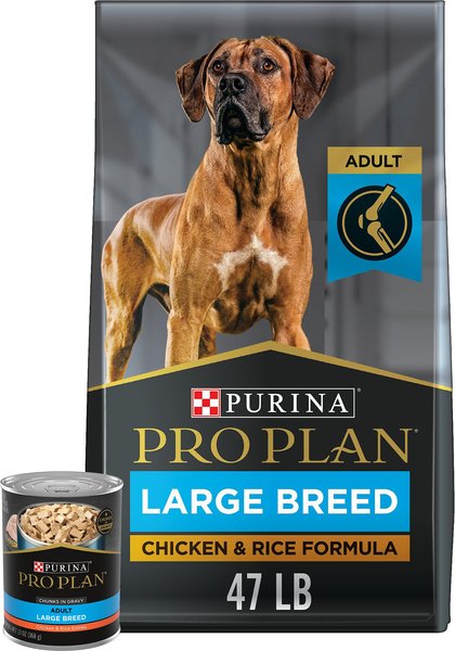 Purina Pro Plan Adult Large Breed Chicken & Rice Formula Dry Food, 47-lb bag + Focus Chicken & Rice Entree Chunks in Gravy Canned Dog Food slide 1 of 9