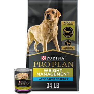 Purina Pro Plan Adult Large Breed Weight Management Chicken & Rice Formula Dry Food + Focus Turkey & Rice Entree Morsels in Gravy Canned Dog Food