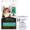 Show in main carousel: Purina Pro Plan Kitten Chicken & Rice Formula Dry Food + Veterinary Diets FortiFlora Probiotic Gastrointestinal Support Cat Supplement slide 1 of 6
