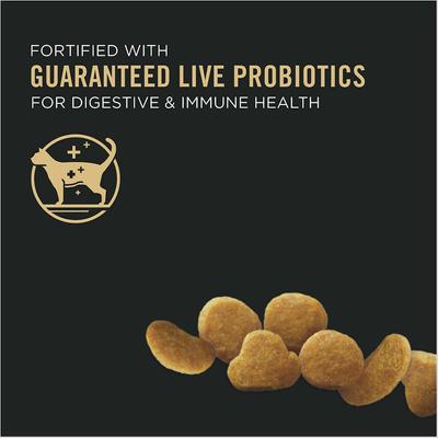 Show full view: Purina Pro Plan Kitten Chicken & Rice Formula Dry Food + Veterinary Diets FortiFlora Probiotic Gastrointestinal Support Cat Supplement slide 4 of 6