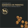 Show in main carousel: Purina Pro Plan Puppy Lamb & Rice Formula Dry Food + Wellness Soft Puppy Bites Lamb & Salmon Recipe Grain-Free Dog Treats slide 4 of 8