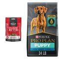 Purina Pro Plan Puppy Large Breed Chicken & Rice Formula with Probiotics Dry Food + American Journey Beef Recipe Grain-Free Soft & Chewy Training Bits Dog Treats