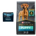 Purina Pro Plan Puppy Large Breed Chicken & Rice Formula Dry Food + Veterinary Diets Calming Care Dog Supplement