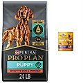 Purina Pro Plan Puppy Sensitive Skin & Stomach Salmon & Rice Dry Food + Wellness Soft Puppy Bites Lamb & Salmon Recipe Grain-Free Dog Treats