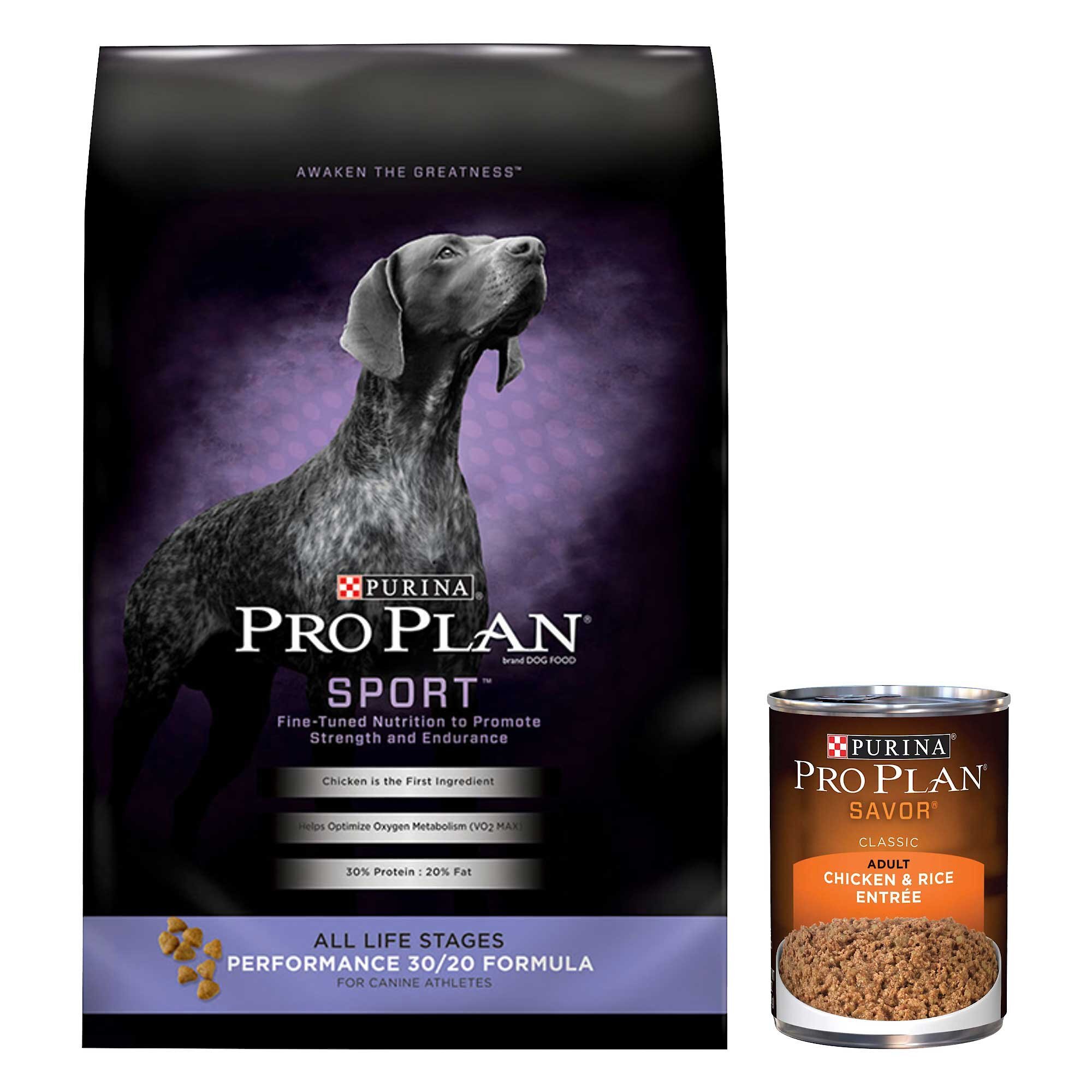 what size is the bag of dry food and how many can of wet dog food