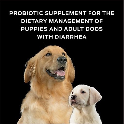 Purina Pro Plan Veterinary Diets FortiFlora Probiotic Gastrointestinal Support Supplement + Virbac C.E.T. Enzymatic Dog & Cat Poultry Flavor Toothpaste
