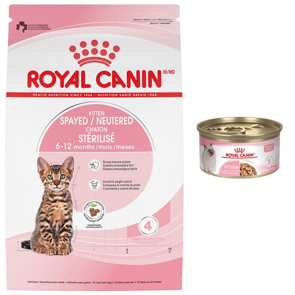 Royal Canin Feline Health Nutrition Dry Food + Feline Health Nutrition Thin Slices in Gravy Wet Kitten Food slide 1 of 9