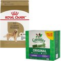 Royal Canin Golden Retriever Adult Dry Food + Greenies Large Dental Dog Treats