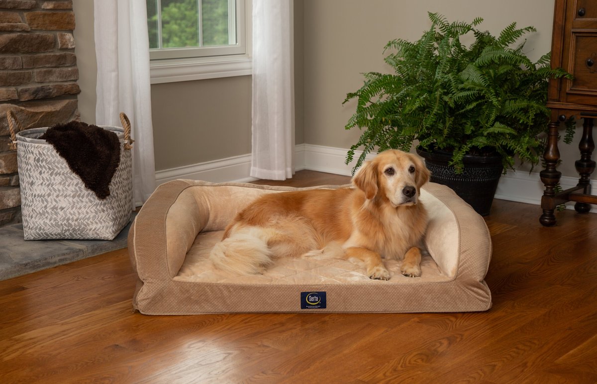 Serta orthopedic quilted dog shop & cat couch bed