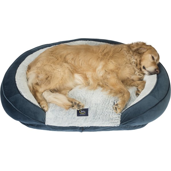 Serta oval couch pet hot sale bed