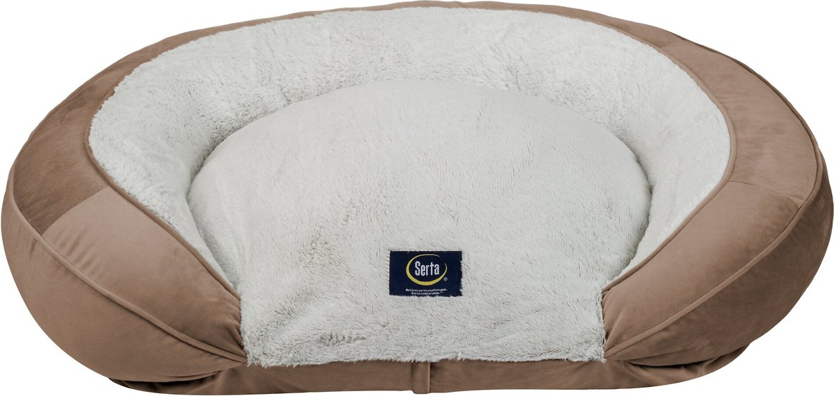 Serta xlarge dog outlet bed