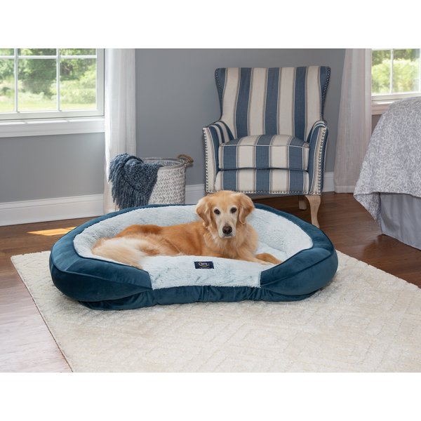 FRISCO Velvet Round Bolster Dog Bed w/Removable Cover, Gray, XXLarge