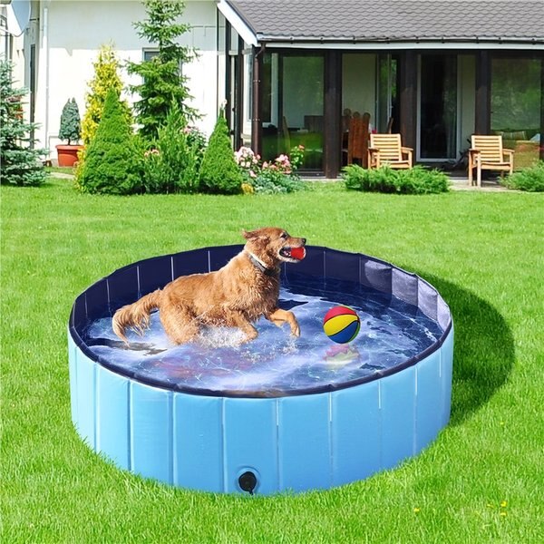 YAHEETECH Foldable Outdoor Hard Plastic Dog & Cat Swimming Pool, Blue ...