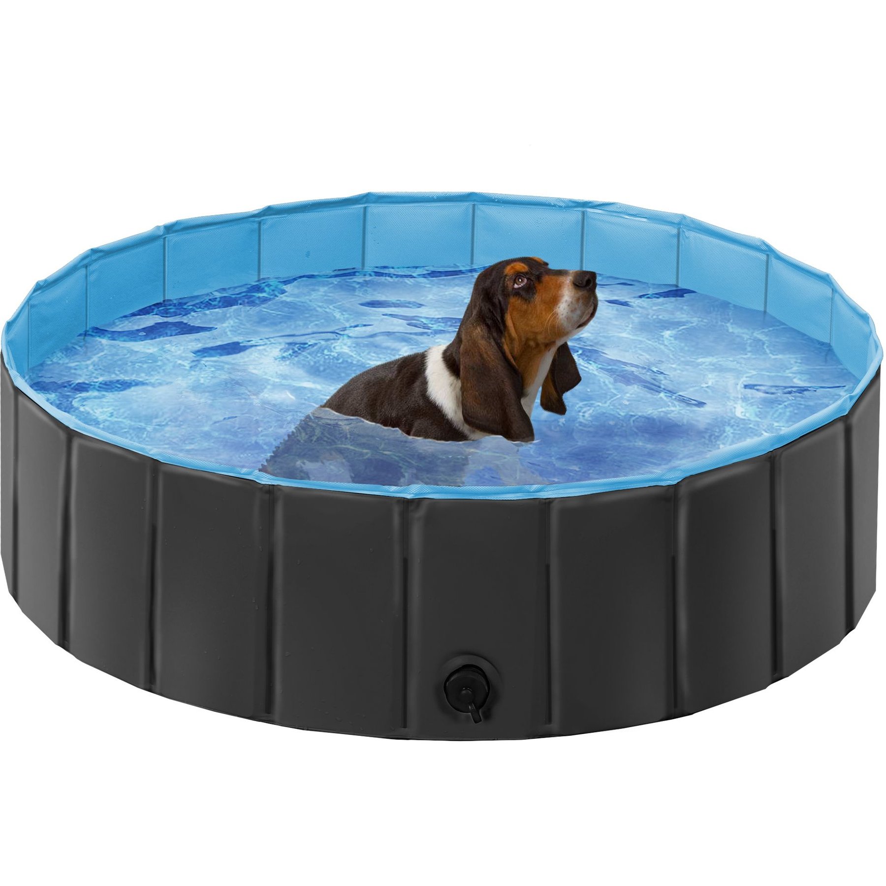 Chewy shops pool