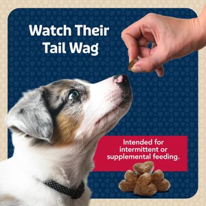 Blue Buffalo Blue Bits Tender Beef Recipe Soft-Moist Training Dog Treats, 19-oz bag