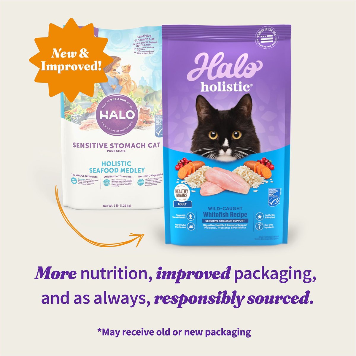 Chewy halo shop cat food