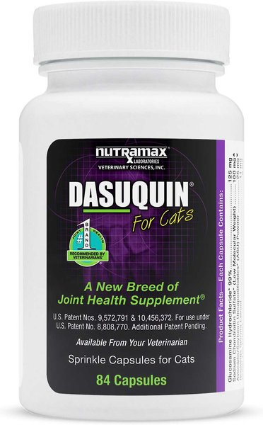 Nutramax Dasuquin Capsules Joint Health Supplement for Cats, 168 count slide 1 of 9