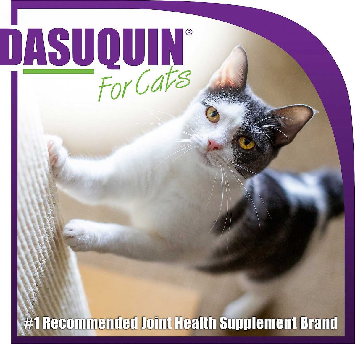 NUTRAMAX Dasuquin Hip & Joint Capsules Joint Supplement for Cats, 168