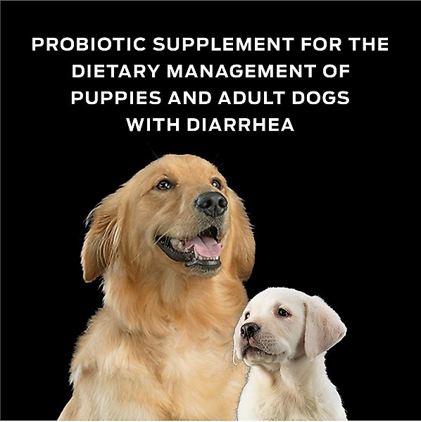 Show full view: Purina Pro Plan Veterinary Diets FortiFlora Powder Digestive Supplement for Dogs, 60 count slide 4 of 10