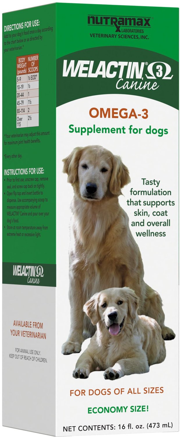 NUTRAMAX Welactin Omega3 Liquid Skin & Coat Supplement for Dogs, 16oz