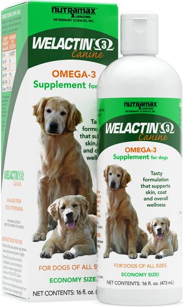 Nutramax Welactin Omega-3 Liquid Skin & Coat Supplement for Dogs, 16-oz bottle, bundle of 3 slide 1 of 7