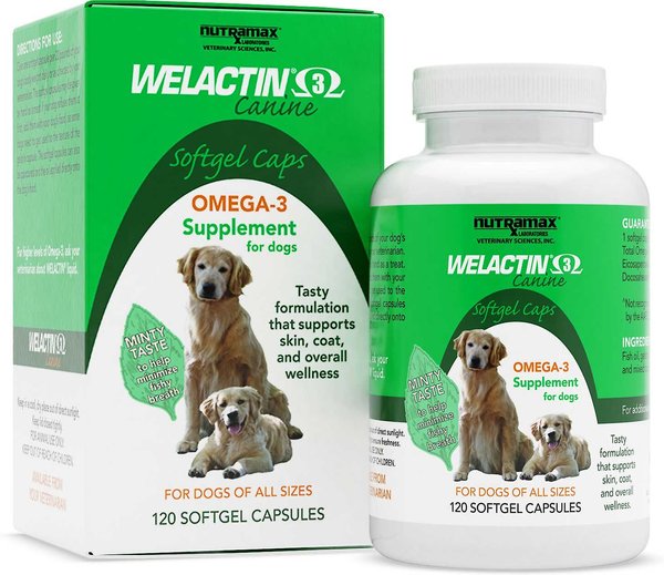Nutramax Welactin Liquid Softgels Omega-3 Fish Oil Skin & Coat Health Supplement for Dogs, 240 count slide 1 of 8