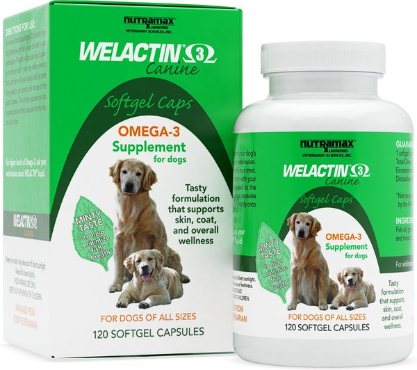 Nutramax Welactin Liquid Softgels Omega-3 Fish Oil Skin & Coat Health Supplement for Dogs, 360 count slide 1 of 8