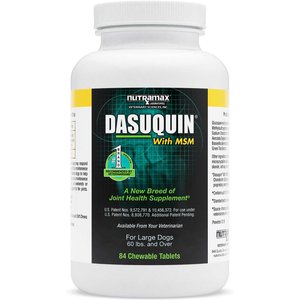 dasuquin with msm soft chews