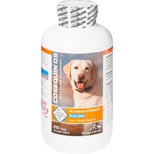 Nutramax Cosequin Maximum Strength Plus MSM Chewable Tablets Joint Supplement for Dogs, 750 count