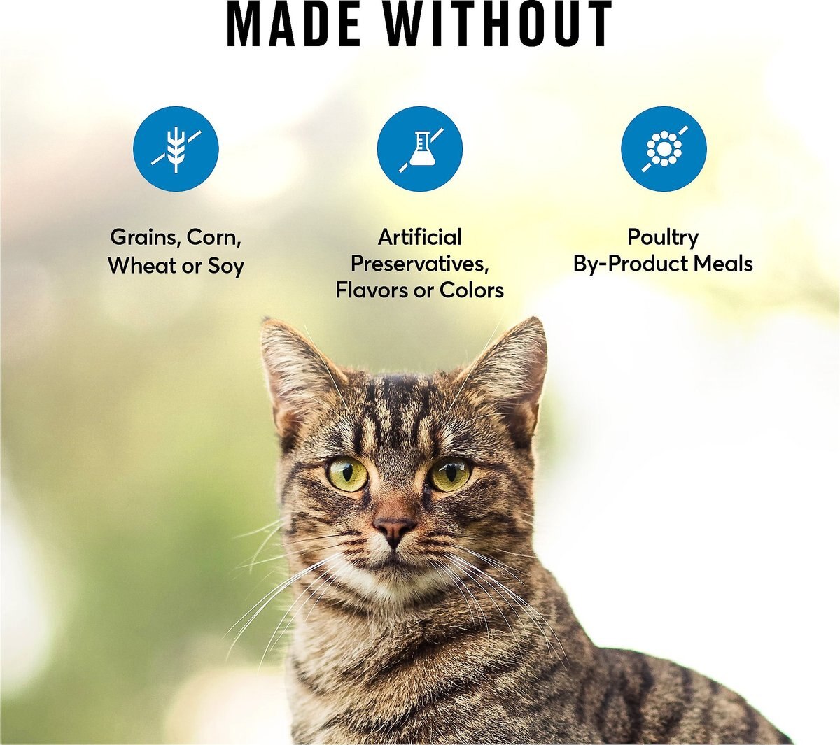 AMERICAN JOURNEY Salmon Flavor GrainFree FreezeDried Cat Treats 2oz