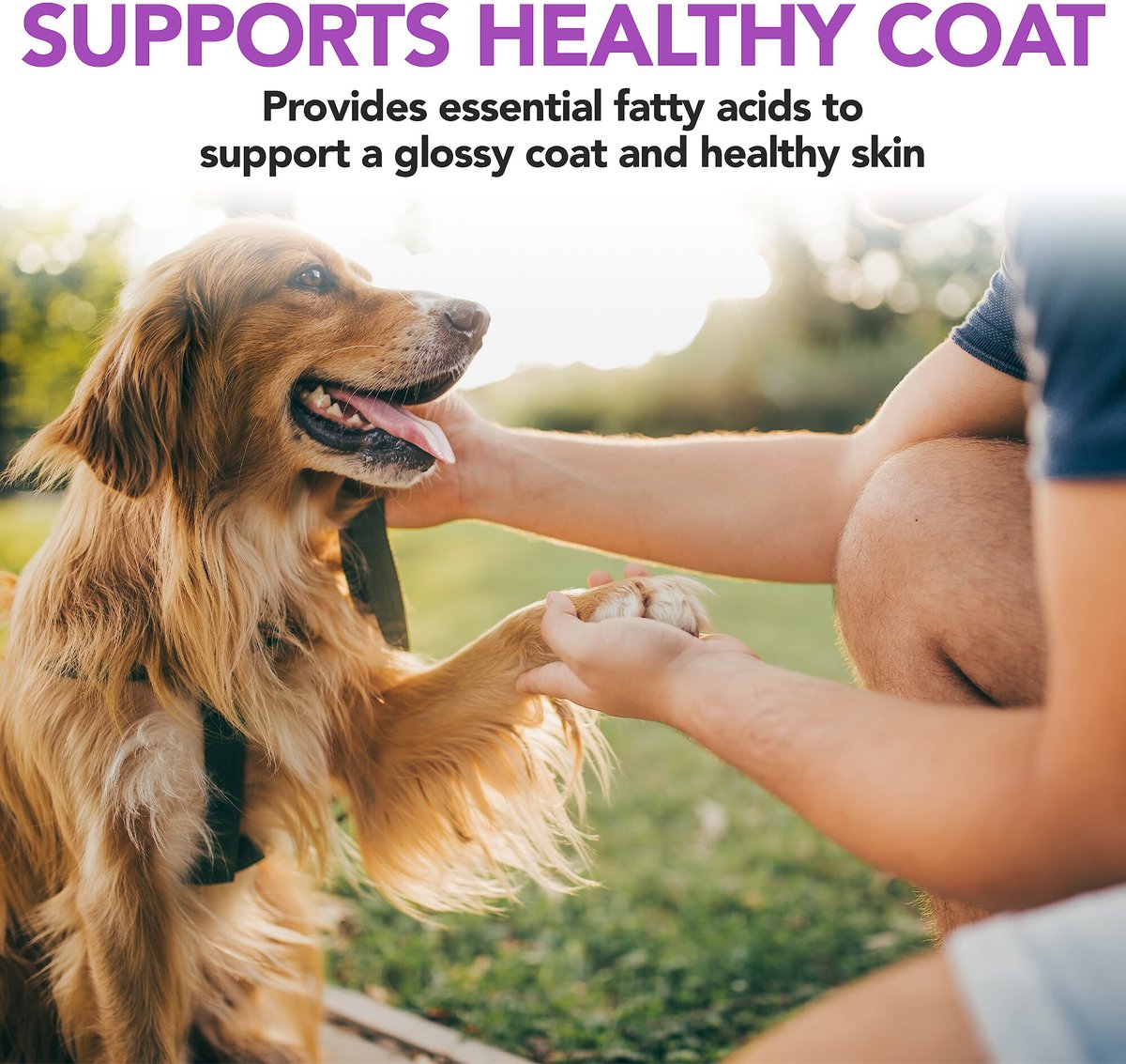VET'S BEST Healthy Skin & Coat Protection Brewer's Yeast & Garlic Flavored Chews Dog Supplement