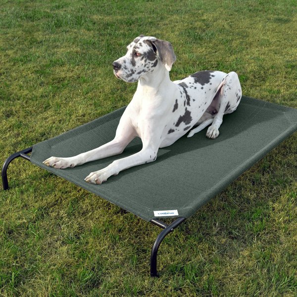 Coolaroo Steel-Framed Elevated Dog Bed, Brunswick Green, X-Large slide 1 of 9