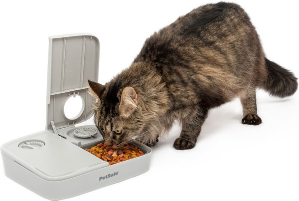 ALL FOR PAWS Cat Multiple Feeder, Polypropylene, 20 oz