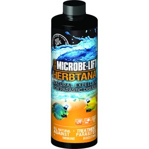 Microbe Lift Herbtana Salt & Freshwater Fish Treatment, 8-oz bottle