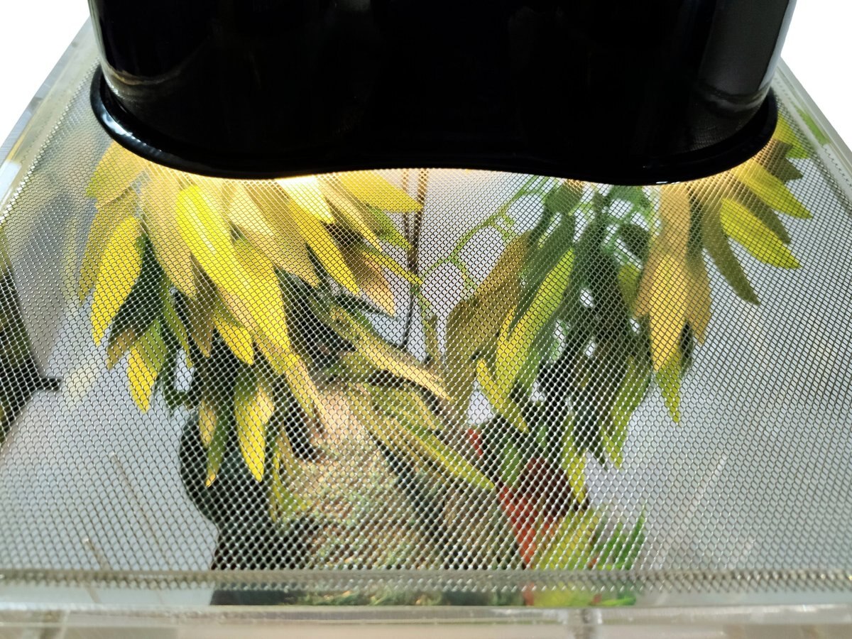 HERPCULT Acrylic FrontOpening Reptile Habitat, 12gal