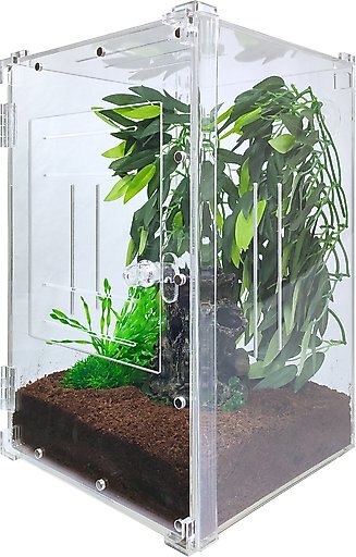 HerpCult Two-Way Acrylic Insect & Reptile Terrarium, Large