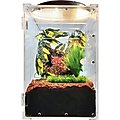 HerpCult Acrylic Front-Opening Reptile Habitat, 7-gal