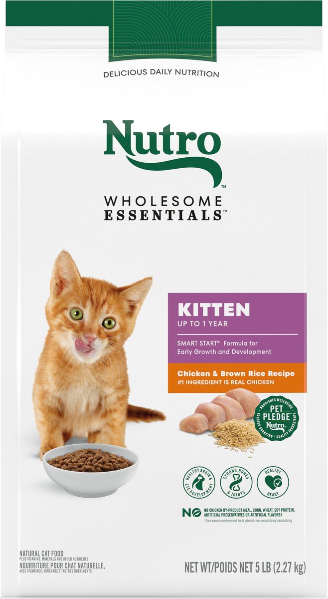 Nutro wholesome sale essentials kitten