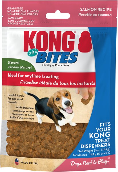 KONG Bites Mini Grain-Free Salmon Dog Treats, 5-oz bag slide 1 of 4