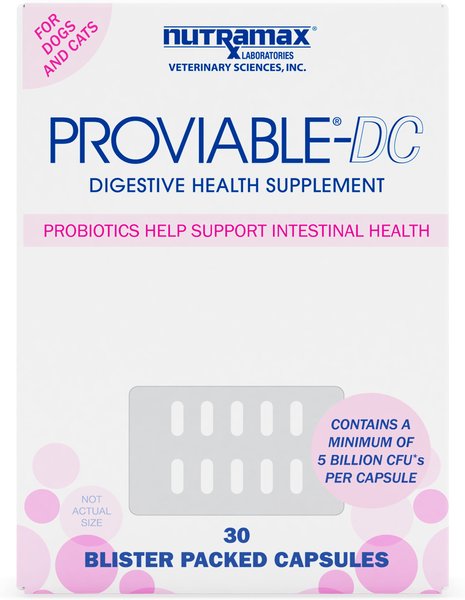 Nutramax Proviable Capsules Probiotics & Prebiotics Digestive Health Supplement for Cats & Dogs, 60 count slide 1 of 8