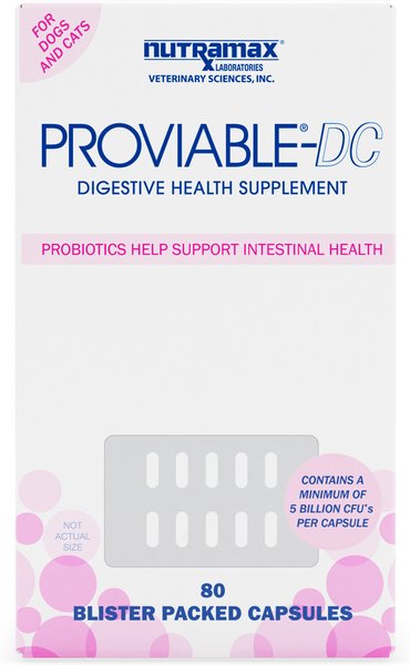 Nutramax Proviable Capsules Probiotics & Prebiotics Digestive Health Supplement for Cats & Dogs, 80 count, bundle of 2 slide 1 of 8