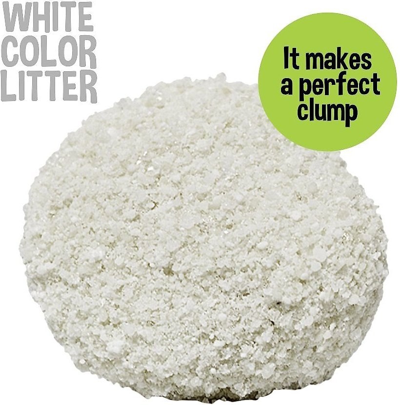 GARFIELD CAT LITTER Super Clump Unscented Clumping Corn Cat Litter, 10