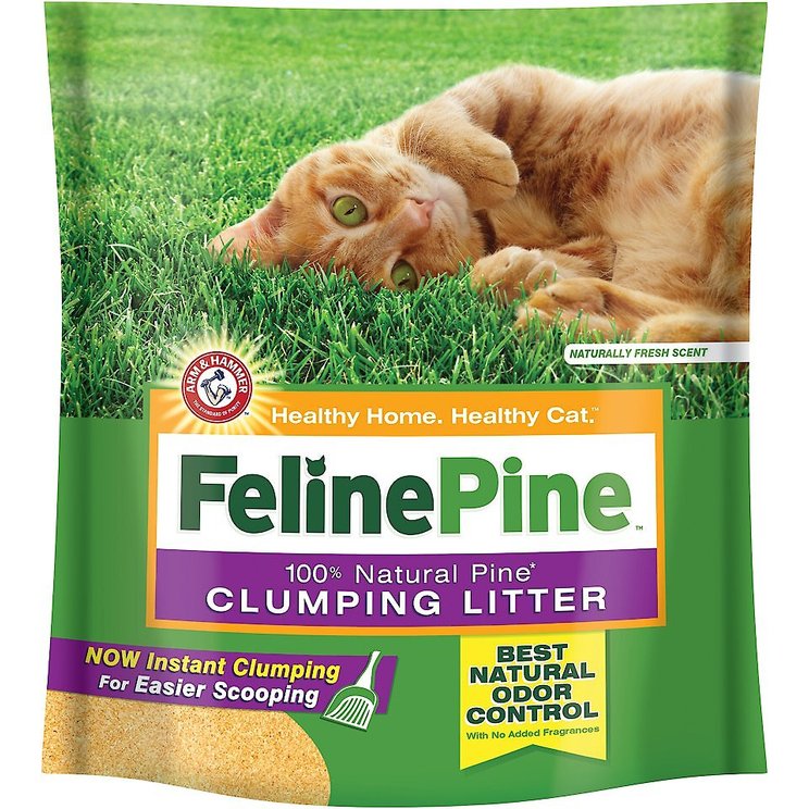 Feline Pine - Free shipping | Chewy