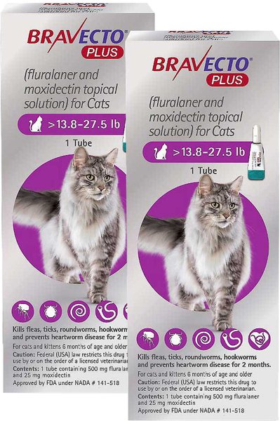 Bravecto Plus Topical Solution for Cats, >13.8-27.5 lbs, (Purple Box), 2 Doses (4-mos. supply) slide 1 of 8