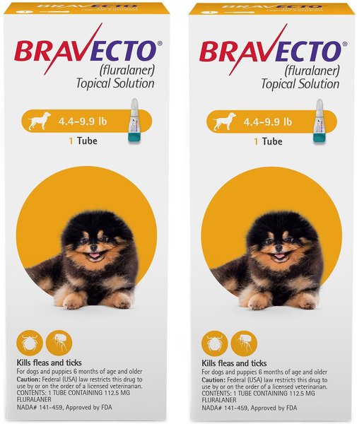 Order bravecto online best sale