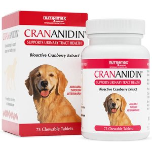 Nutramax Crananidin Chewable Tablets Urinary Supplement for Dogs, 150 count
