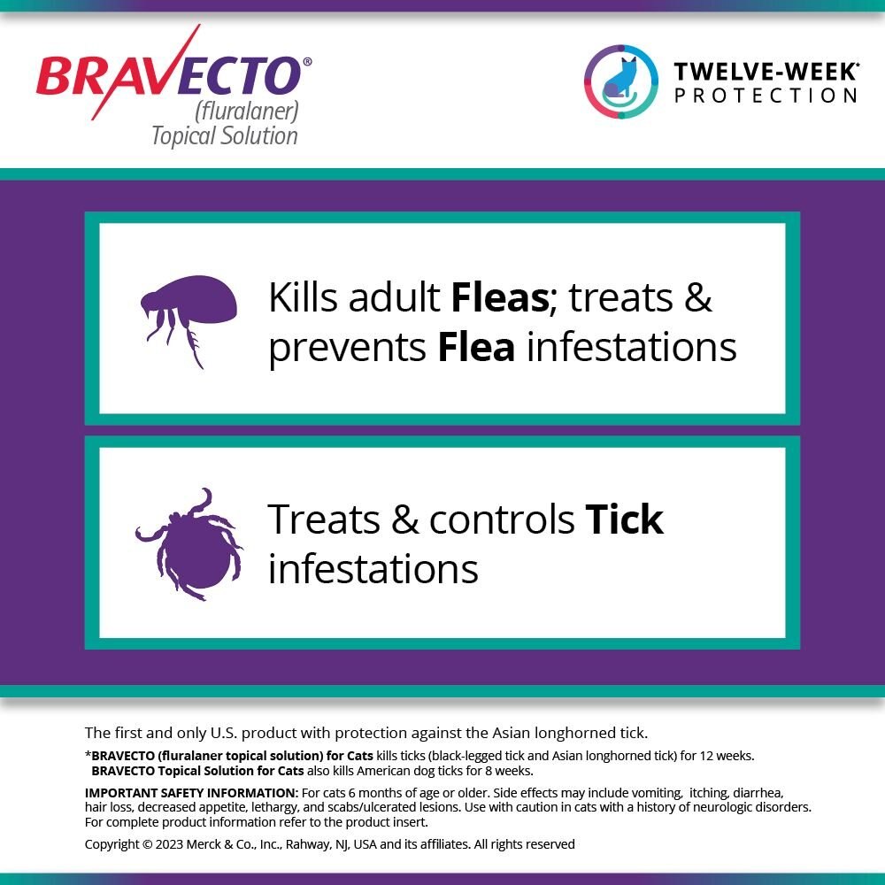 Bravecto Spot-On 3 Monthly Flea Treatment for Cats 6.25-12.5kg Purple –  Habitat Pet Supplies