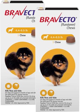 Bravecto Flea and Tick Chew for Dogs 22-44 lbs (10-20 kg) - Green 1 Chew