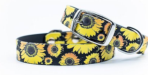 C4 Sunflowers Waterproof Hypoallergenic Dog Collar, Medium slide 1 of 4